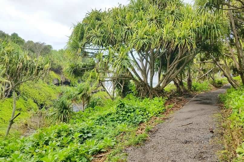 Kuloa Point trail to oheo pools. haleakala national park waterfalls hike. maui hawaii travel blog