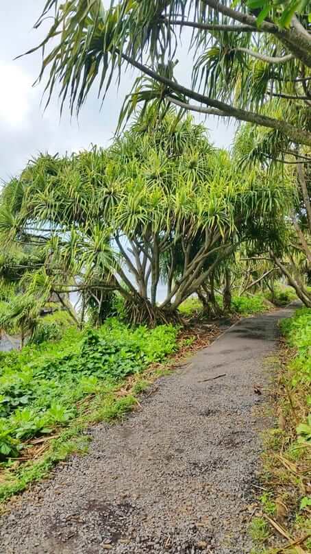 Kuloa Point trail to oheo pools. haleakala national park waterfalls hike. maui hawaii travel blog