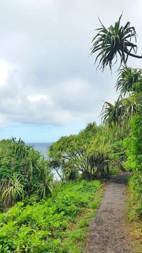 Kuloa Point trail to oheo pools. haleakala national park waterfalls hike. maui hawaii travel blog