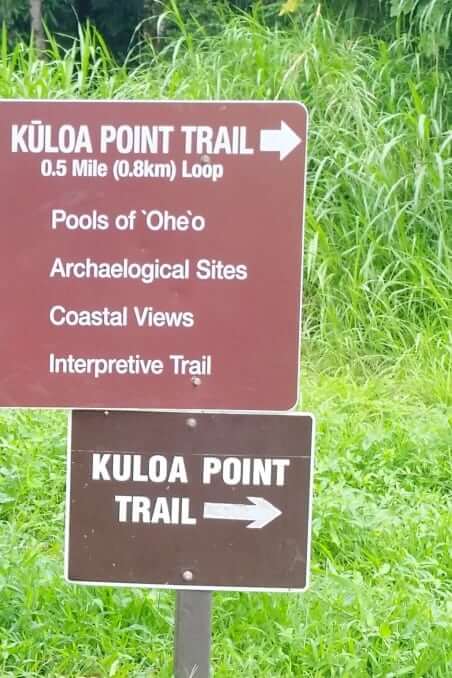 Getting to seven sacred pools hike trailhead. getting to oheo pools hike trailhead. Kipahulu hiking trails Haleakala National Park. oheo gulch trail. maui hawaii travel blog