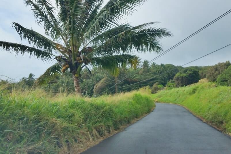 Hana to Pipiwai Trail parking: Driving Hana Highway. Getting to the pipiwai trailhead. haleakala national park kipahulu parking. maui hawaii travel blog