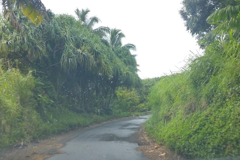 Hana to Pipiwai Trail parking: Driving Hana Highway. Getting to the pipiwai trailhead. haleakala national park kipahulu parking. maui hawaii travel blog