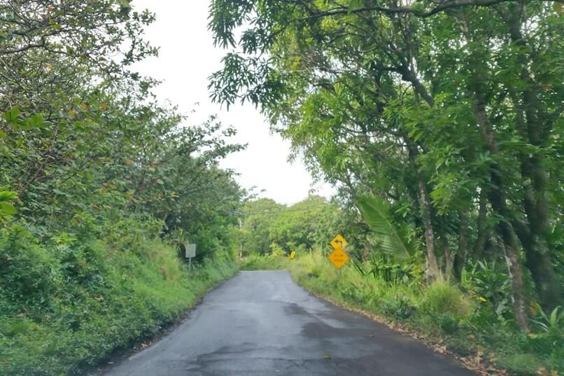 Hana to Pipiwai Trail parking: Driving Hana Highway. Getting to the pipiwai trailhead. haleakala national park kipahulu parking. maui hawaii travel blog