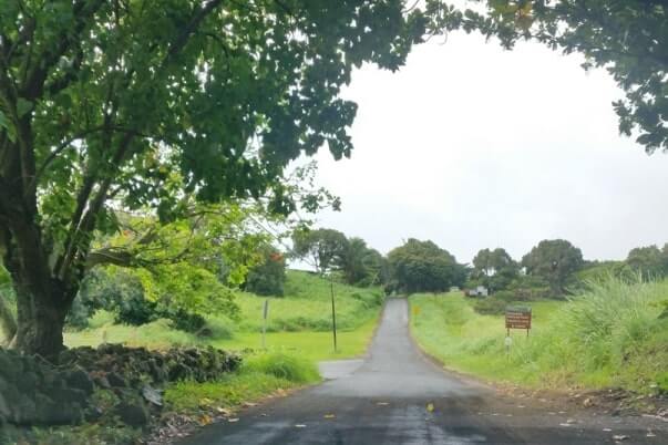 Hana to Pipiwai Trail parking: Driving Hana Highway. Getting to the pipiwai trailhead. haleakala national park kipahulu parking. maui hawaii travel blog