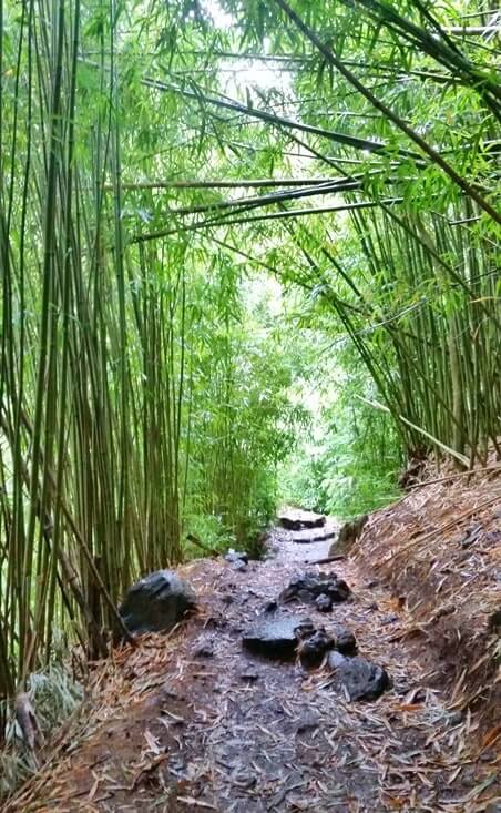 Pipiwai trailhead. Starting the Pipiwai Trail to see bamboo forest from kipahulu trailhead parking. maui hawaii travel blog