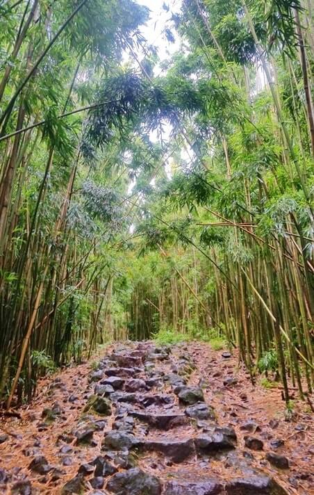 Pipiwai trailhead. Starting the Pipiwai Trail to see bamboo forest from kipahulu trailhead parking. maui hawaii travel blog
