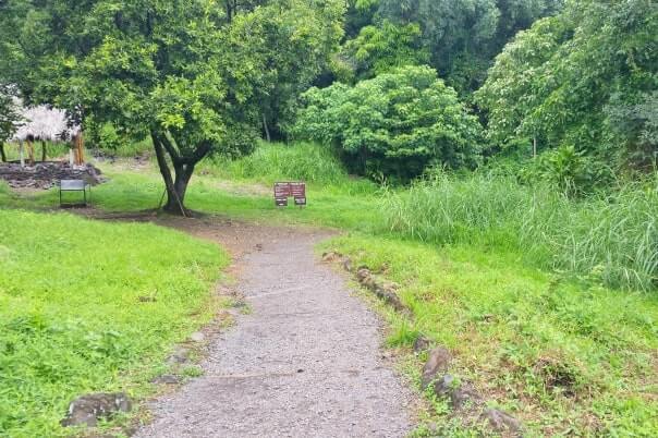 Pipiwai trailhead. Starting the Pipiwai Trail from kipahulu trailhead parking. maui hawaii travel blog