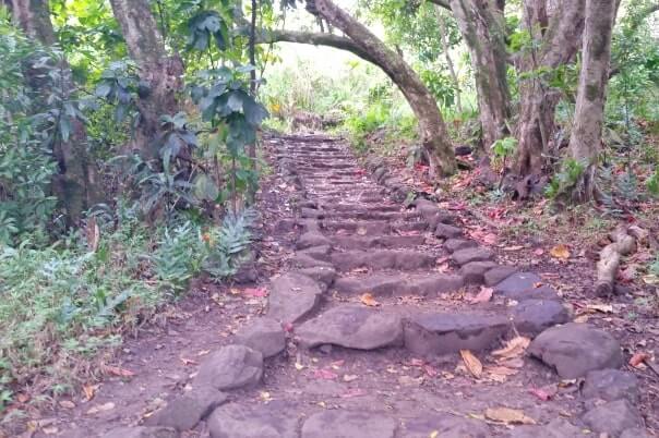 Pipiwai trailhead. Starting the Pipiwai Trail from kipahulu trailhead parking. maui hawaii travel blog