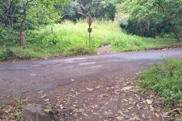 Pipiwai trailhead. Starting the Pipiwai Trail from kipahulu trailhead parking. maui hawaii travel blog