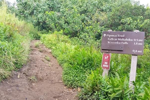 Pipiwai trailhead. Starting the Pipiwai Trail from kipahulu trailhead parking. maui hawaii travel blog