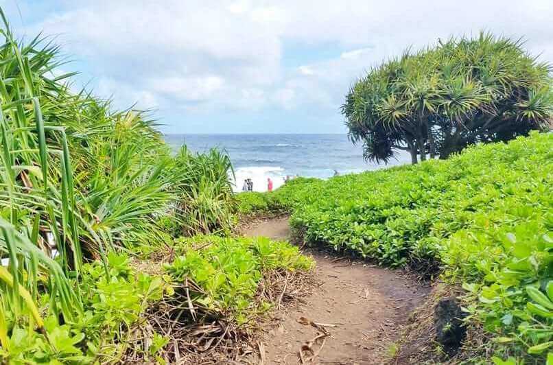 Best hikes in Haleakala National Park. haleakala hiking trails. haleakala coastal kipahulu hiking. kuloa point trail. haleakala coast hiking. maui hawaii travel blog