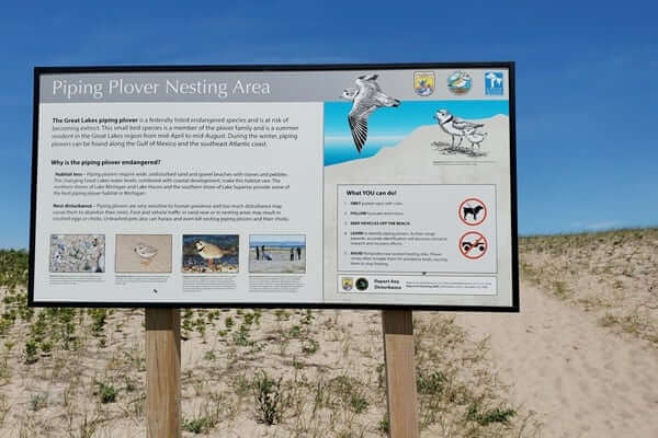 Sand dunes in Grand Marais MI. grand sable dunes. piper plover nesting area. lake superior sand dunes. Getting to Grand Marais lighthouse pier. getting to grand marais harbor of refuge outer lighthouse pier. lake superior. grand marais MI lighthouses. up michigan travel blog