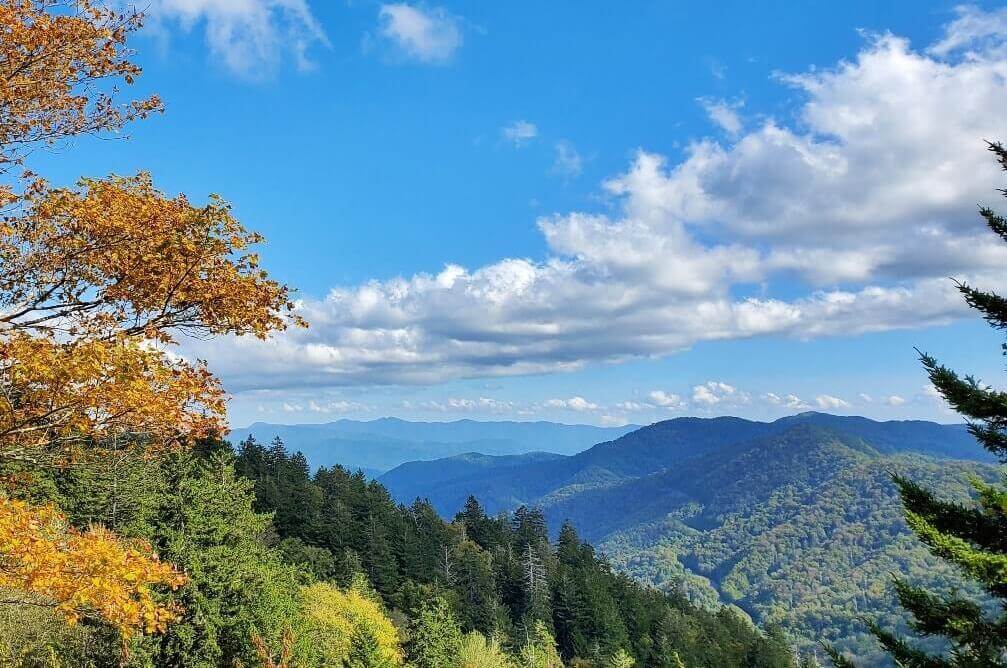 Best scenic drives in Smoky Mountains: Driving in the Smoky Mountains on Newfound Gap Road. TN. NC. smokies travel blog
