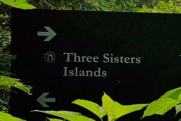 How to get to Three Sisters Island: goat island scenic walk trail. niagara falls state park. new york travel blog