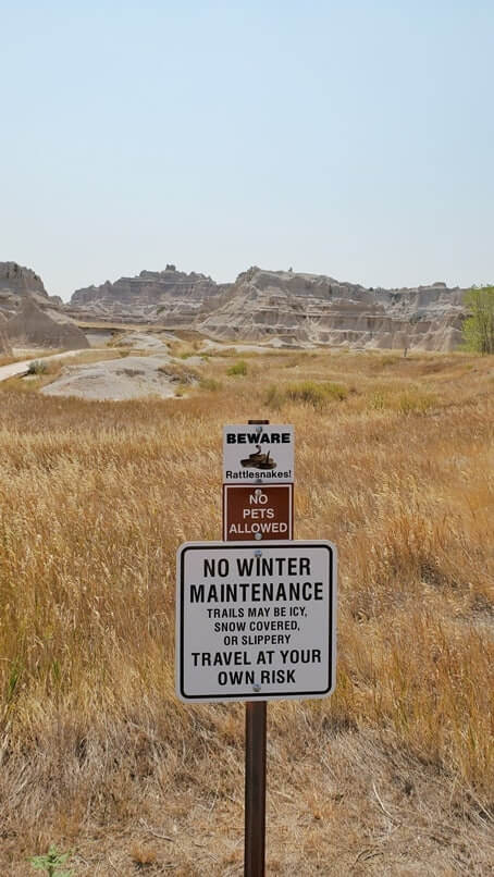 Window Trail rattlesnakes, Badlands National Park. south dakota travel blog