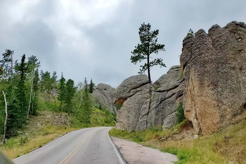 Driving to Little Devils Tower Trailhead parking along Needles Highway. custer state park. south dakota travel blog