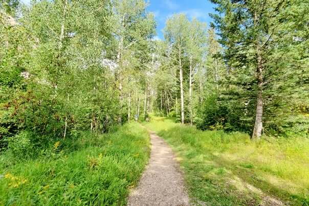 How to hike the Little Devils Tower Trail in custer state park. south dakota travel blog