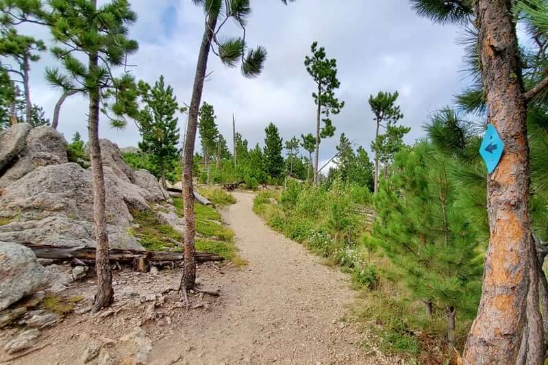 How to hike the Little Devils Tower Trail in custer state park. south dakota travel blog