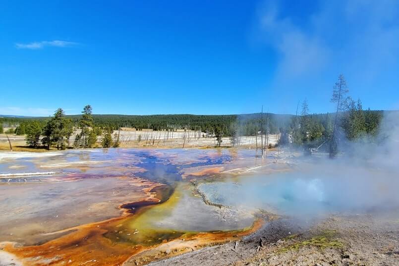 Bubbling Firehole Spring in Yellowstone National Park. Yellowstone steam. Hot springs in Yellowstone. wyoming travel blog