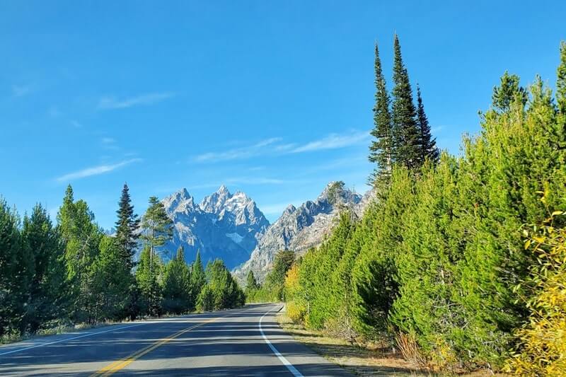 Driving the 42-mile scenic loop road in Grand Teton National Park: Driving through Grand Teton National Park off of north jenny lake junction onto jenny lake road. wyoming travel blog