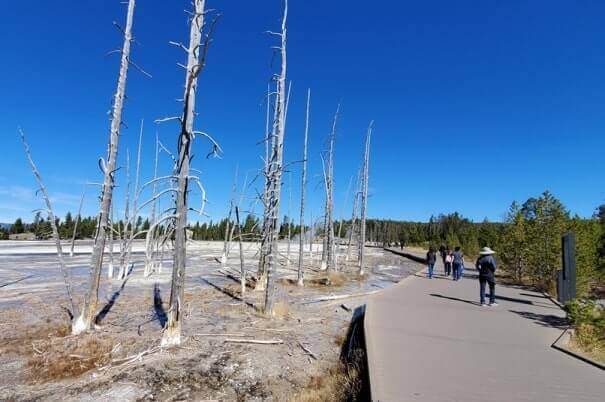 Fountain Paint Pot Trail to Leather Pool. yellowstone wyoming travel blog