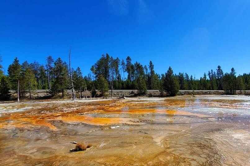 Fountain Paint Pot Trail to orange bacteria mat to Leather Pool. yellowstone wyoming travel blog