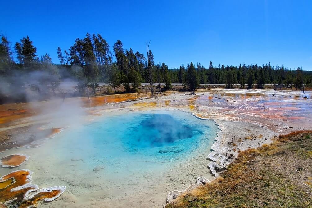 Silex Spring in Yellowstone National Park with orange bacteria mat. wyoming travel blog