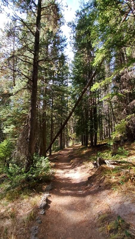 Hiking to Solitary Geyser: observation point trail to solitary geyser. yellowstone geyser hiking. wyoming travel blog