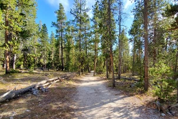 Solitary geyser to upper geyser basin trail. yellowstone geyser hikes. wyoming travel blog