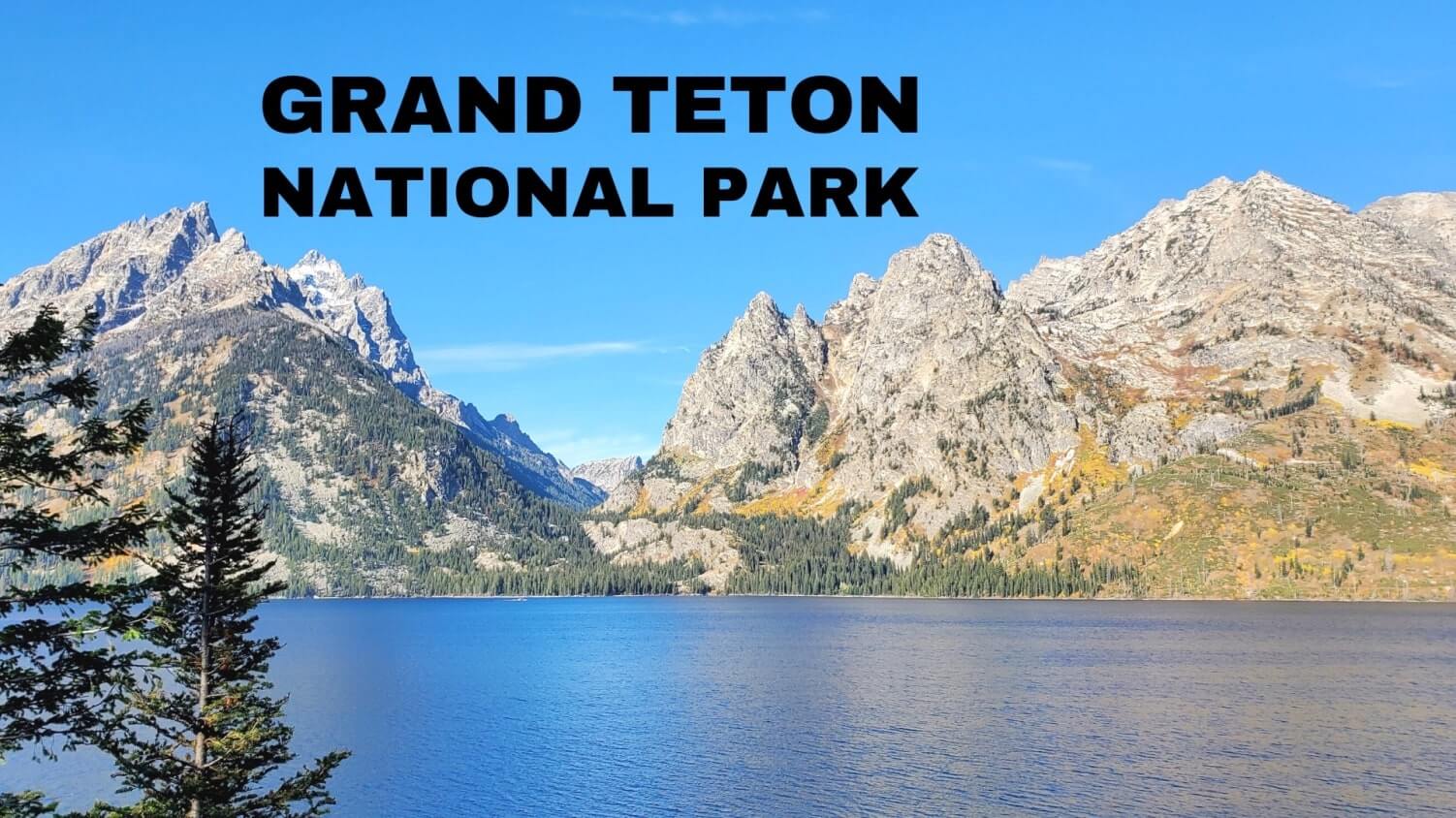national park pass for wyoming national parks. grand teton national park pass