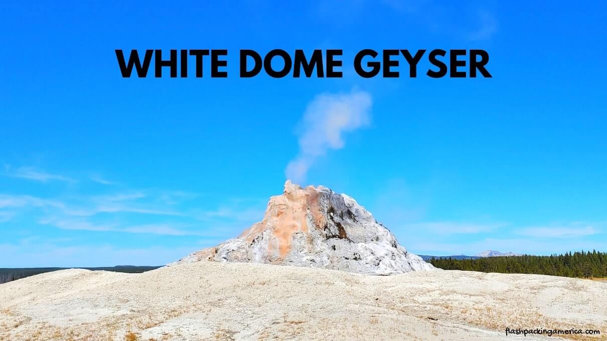 White Dome Geyser in Yellowstone National Park. Yellowstone grand loop road, geysers in Yellowstone. wyoming travel blog