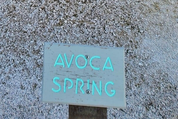 Avoca Spring in yellowstone national park. wyoming travel blog