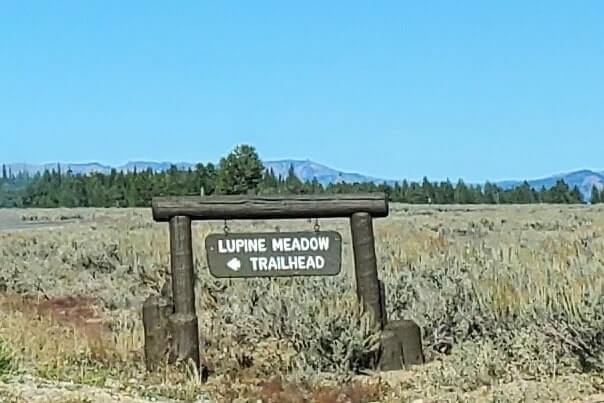 driving the teton park road to lupine meadows trailhead to cascade canyon turnout. grand teton scenic loop drive. wyoming travel blog