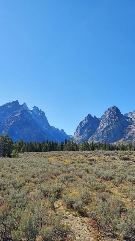 cascade canyon turnout trail. grand teton scenic loop drive. wyoming travel blog
