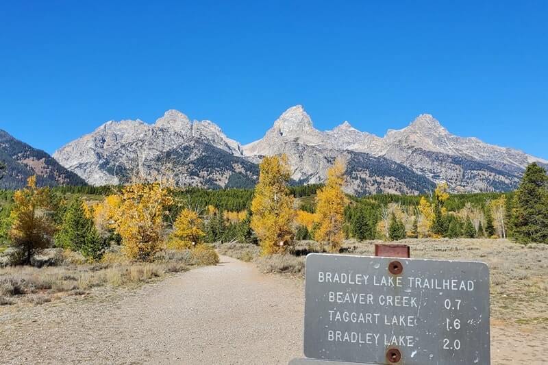 driving the teton park road to teton glacier turnout. grand teton scenic loop drive. wyoming travel blog