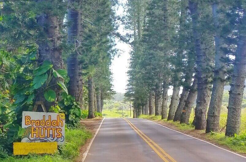 Things to do in Hana: hana food truck. braddah hutts bbq grill. hawaiian bbq chicken in hana. maui hawaii travel blog