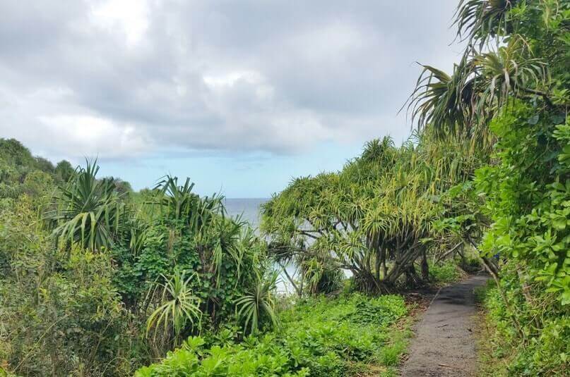 Things to do in Kipahulu Haleakala national park: hiking to kipahulu haleakala coast. kuloa point trail. maui hawaii travel blog