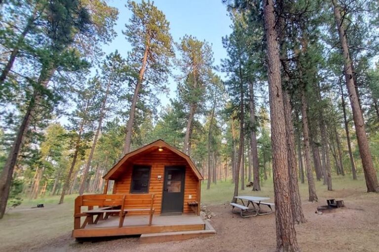 Inside Blue Bell campground camping cabins in Custer State Park ⛰ South