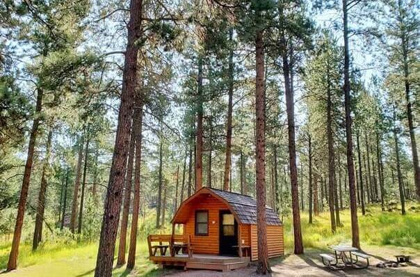 Things to do in Custer State Park: Camping cabins in Custer Park. custer state park cabins. black hills cabins. south dakota state parks. South Dakota travel blog