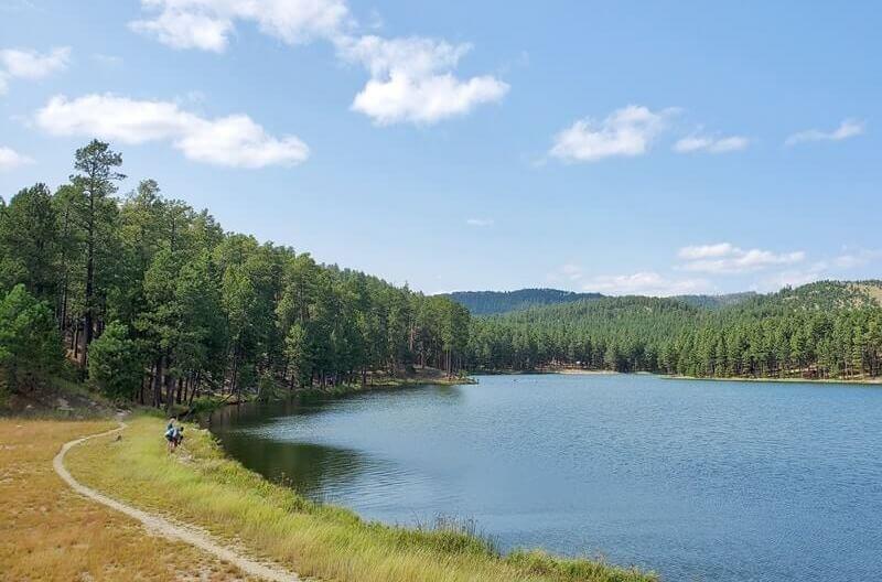 Best things to do in Custer State Park: Custer State Park lakes. center lake. Best things to do in Black Hills. South Dakota travel blog