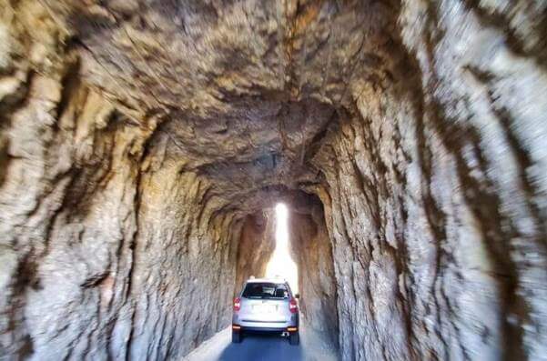 Best things to do in Custer State Park: Drive Needles Highway to needles eye tunnel. Best things to do in Black Hills. South Dakota travel blog