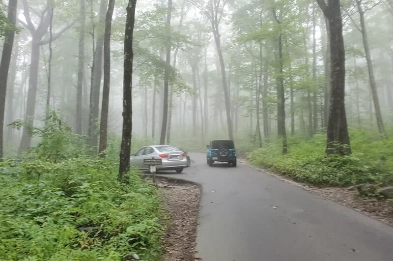 getting to Baskins Creek Falls Trailhead parking. roaring fork motor nature trail parking. smoky mountains travel blog