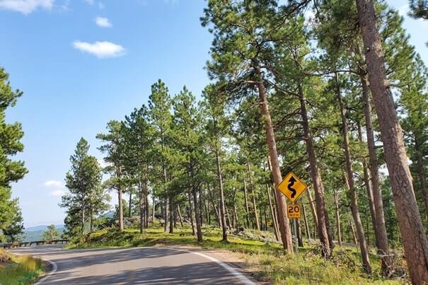Driving iron mountain road to cc gideon tunnel, black hills national forest. south dakota travel blog