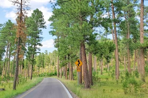 Driving iron mountain road to cc gideon tunnel, black hills national forest. south dakota travel blog