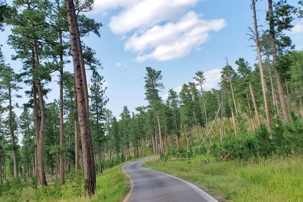 Driving iron mountain road to cc gideon tunnel, black hills national forest. south dakota travel blog