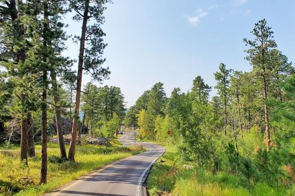 Driving iron mountain road to cc gideon tunnel, black hills national forest. south dakota travel blog