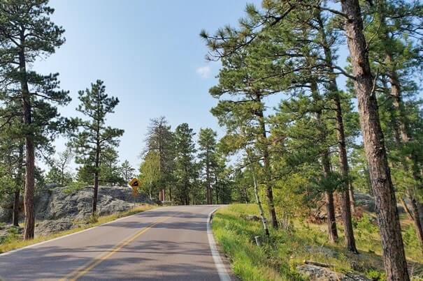 Driving iron mountain road to cc gideon tunnel, black hills national forest. south dakota travel blog