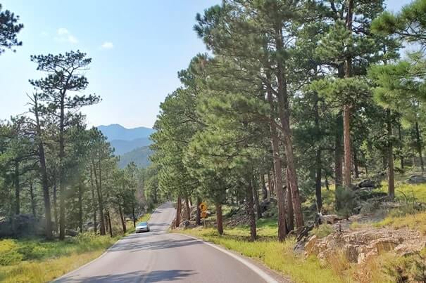 Driving iron mountain road to cc gideon tunnel, black hills national forest. south dakota travel blog