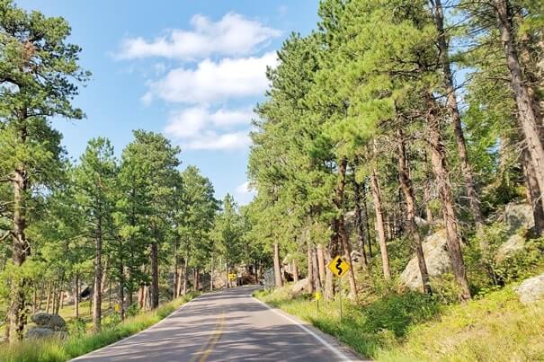 Driving iron mountain road to cc gideon tunnel, black hills national forest. south dakota travel blog
