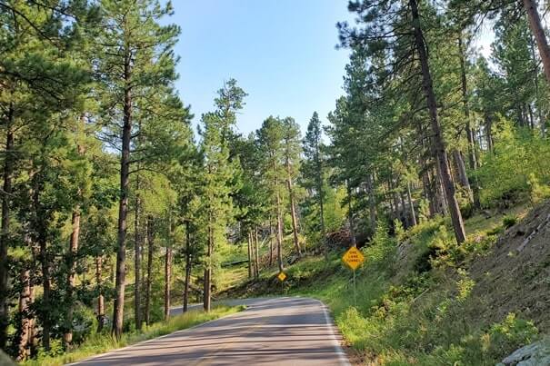Driving to cc gideon tunnel. iron mountain road. south dakota travel blog